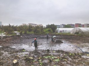 启东河道鱼塘清淤